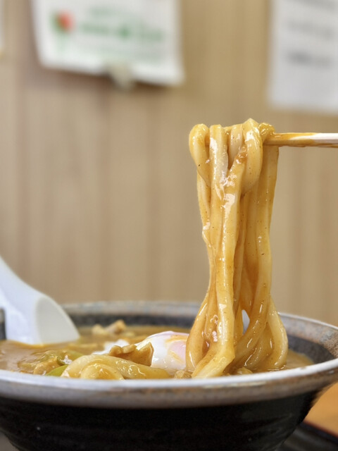 Minoya Teuchi Udon photo 2