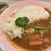 リッチなカレーの店 アサノ