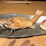 炭火原始焼と蔵元焼酎の店 のどぐろの中俣 - 