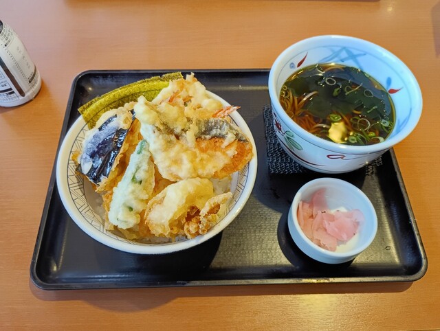 Washoku Sato Iontaun Yatomi Ten