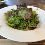 city cafe and space - ツナドレッシングのサラダ