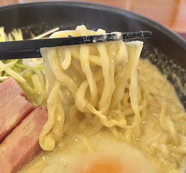 Ramen Hifumi photo 2