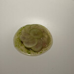 ブレストンコート ユカワタン - 