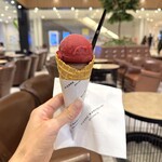 ピエールマルコリーニ - 