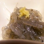 網代一菜 - (11/21)付き出し（生シラス）