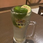 本格炭火焼鳥と旨い肴 きてや - 