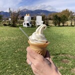 ヤツレン ソフトクリーム売店 - ソフト&ヨーグルト（450円込）