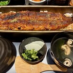 うなぎ四代目菊川 なんばセントラルイータリー店 - 