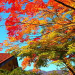 味の味噌一 - 2014.11