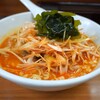 ふうりゅう - ネギ坦坦麺