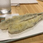 豊前裏打会 饂飩酒場さるぅ - 
