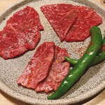 炭火焼肉 肉の匠 ひうち - 漬け込み肉たち