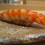 鯛良 - 車海老 九州