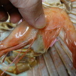 せきのや - でっかい甘エビ