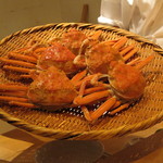 鯛良 - 石川県産の香箱蟹