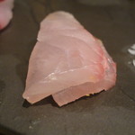 鯛良 - 縞鯵　鹿児島