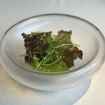 レストラン オオツ - 