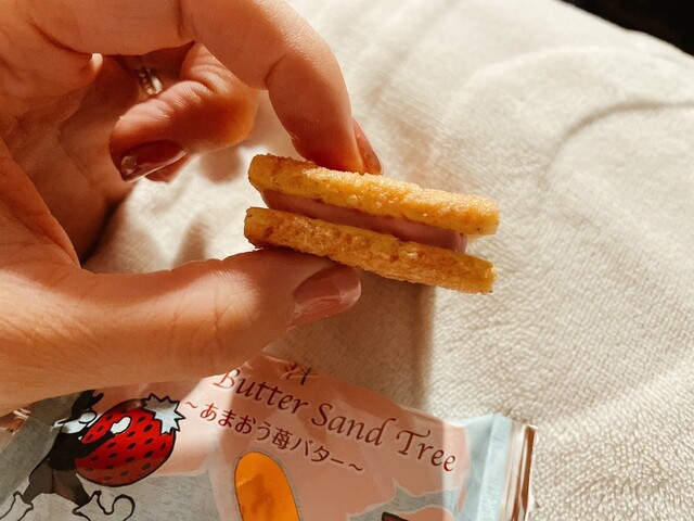 Sugar Butter no Ki Hakata Hankyu Ten - Hakata/Sweets (Western