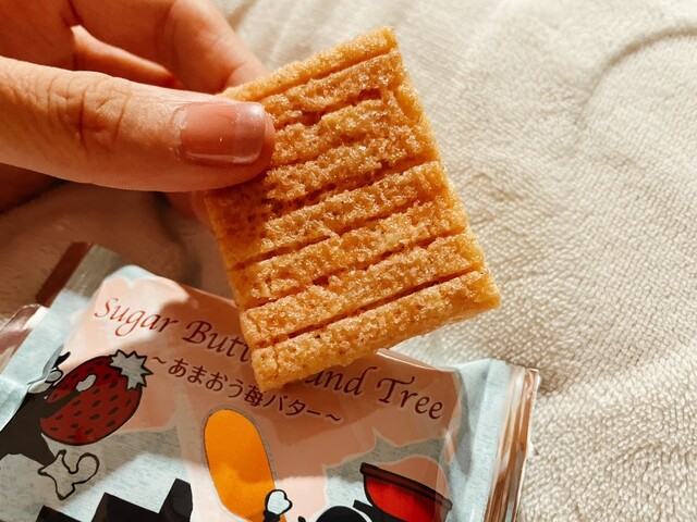 Sugar Butter no Ki Hakata Hankyu Ten - Hakata/Sweets (Western