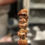 炭火串焼ヒヨク之トリ - 