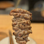 炭火串焼ヒヨク之トリ - 