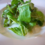 HaRyu - 野菜サラダ