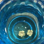 よっちゃん - 桜の花びら入り