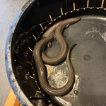 日本料理 梅林 - 