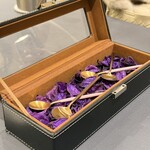 プレゼンテ スギ - 