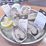 シュリンプ＆オイスターハウス ヨドバシ池袋ビル店 - 