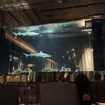 restaurant &Bar lounge MEDUSA - 