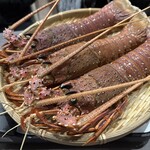 鍋・海鮮居酒屋 伊勢海老 たくと - 
