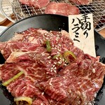 カルビとハラミ 立川苑 - 