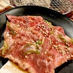 カルビとハラミ 立川苑 - 