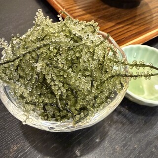 どんぶりの店 志貴_1