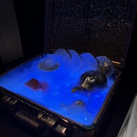 牛牛 西麻布 総本店 - 