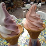 フォーゲルパーク　フローラ - ベゴニアとミックス