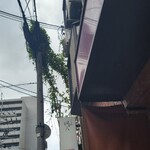 らーめん颯人 - 