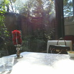 エルセルモ大分 カフェ - 店内から庭園の眺めです＾＾