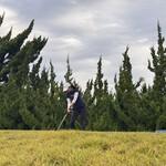 大多喜カントリークラブ - 