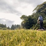 大多喜カントリークラブ - 