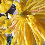 西洋割烹 かるにえ - 