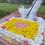 西洋割烹 かるにえ - 