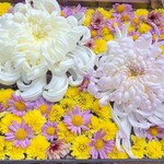 西洋割烹 かるにえ - 