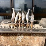 民宿 青塚食堂 - 