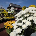 西洋割烹 かるにえ - 