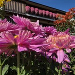 西洋割烹 かるにえ - 