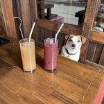 甲州ほうとう 完熟屋 河口湖店 - 