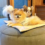 Regina Resort Kyukaruizawa