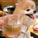 Regina Resort Kyukaruizawa